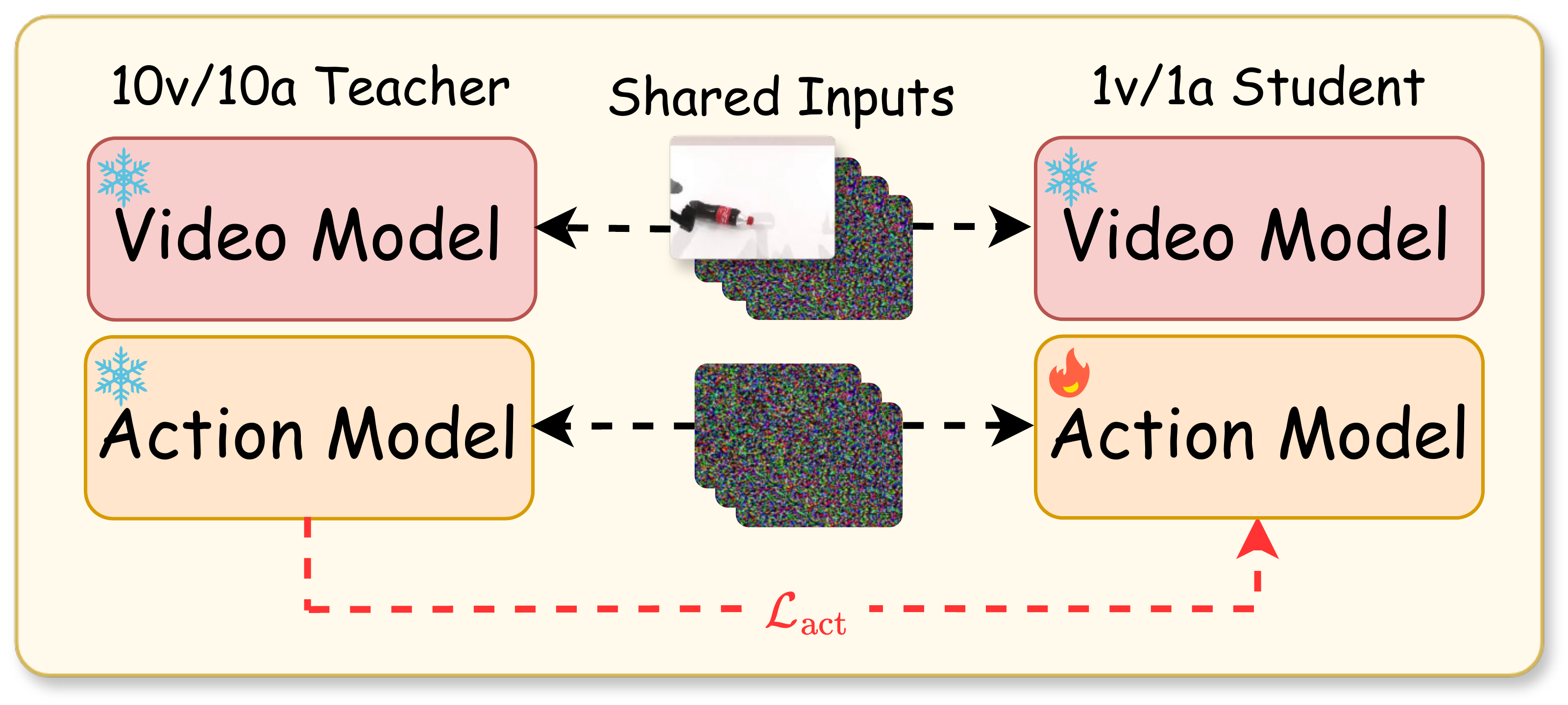 Action rollout distillation from a 10-step video and action teacher to a one-step student with shared inputs and initial noises